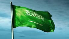 الاخضر يكسو مناطق المملكة في احتفالات يوم العلم